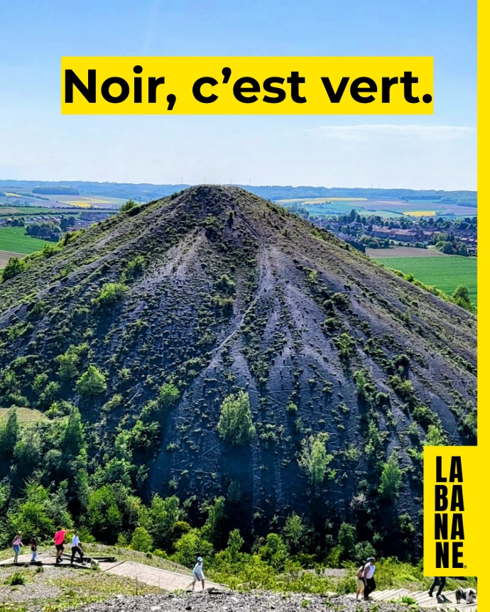 🌳 Noir, c’est vert. | LA BANANE