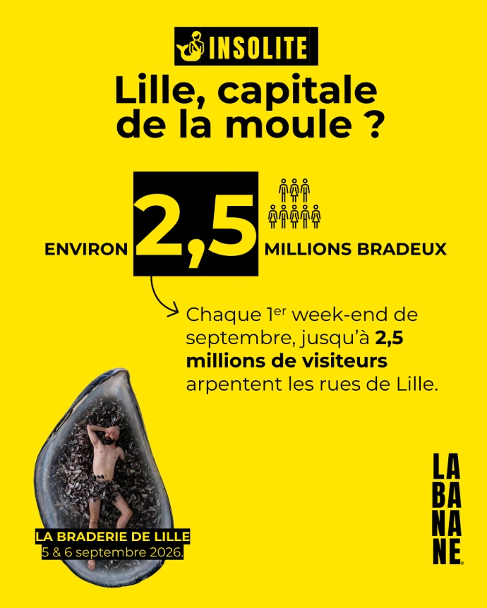 Jusqu’à 2,5 millions de bradeux