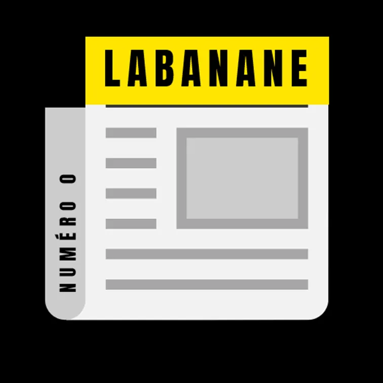 Diapositive18.webp